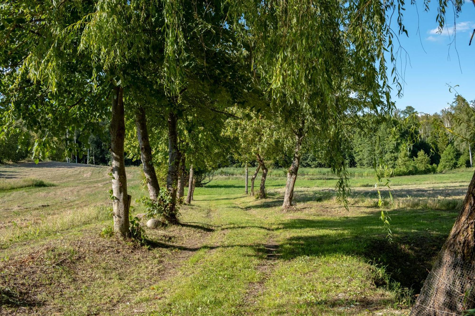 Siedlisko Leszczewek Villa Ngoại thất bức ảnh